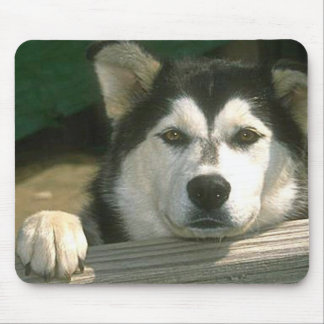 Alfombrilla De Ratón Alaskan Malamute - Personalizado