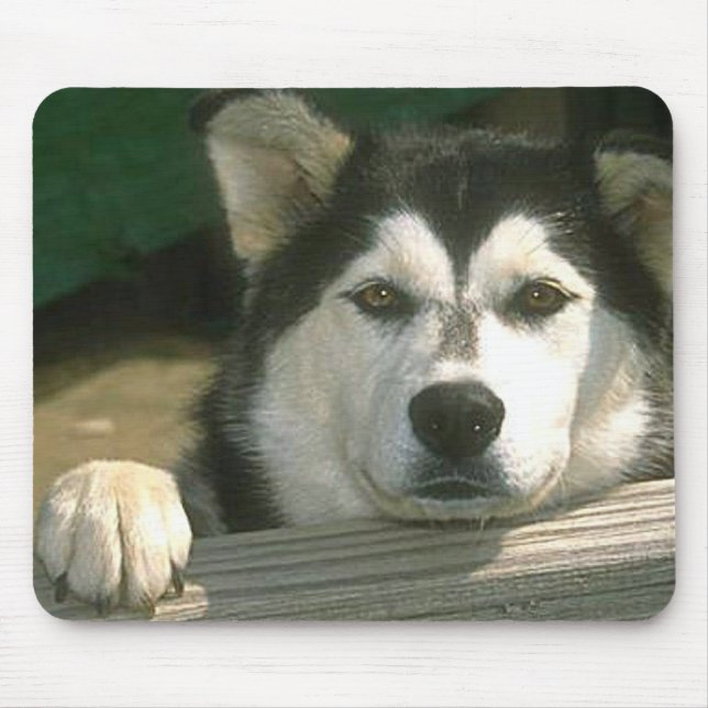 Alfombrilla De Ratón Alaskan Malamute - Personalizado (Frente)