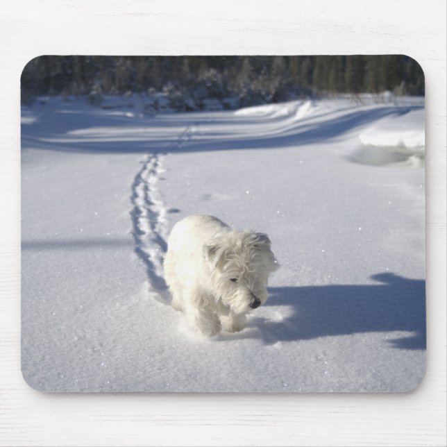 Alfombrilla De Ratón Alberta (Canadá) (Frente)