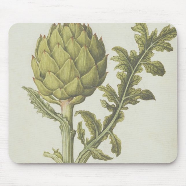 Alfombrilla De Ratón Alcachofa: Scolymus del Cynara, c.1568 (Frente)