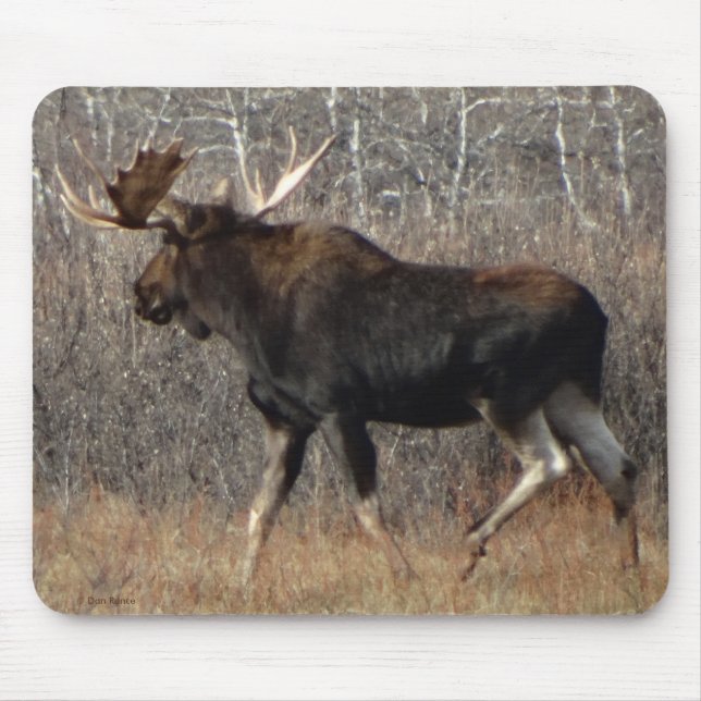 Alfombrilla De Ratón Alce M8 Toro en Matorral (Frente)