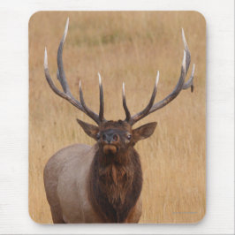 Alfombrilla De Ratón alces