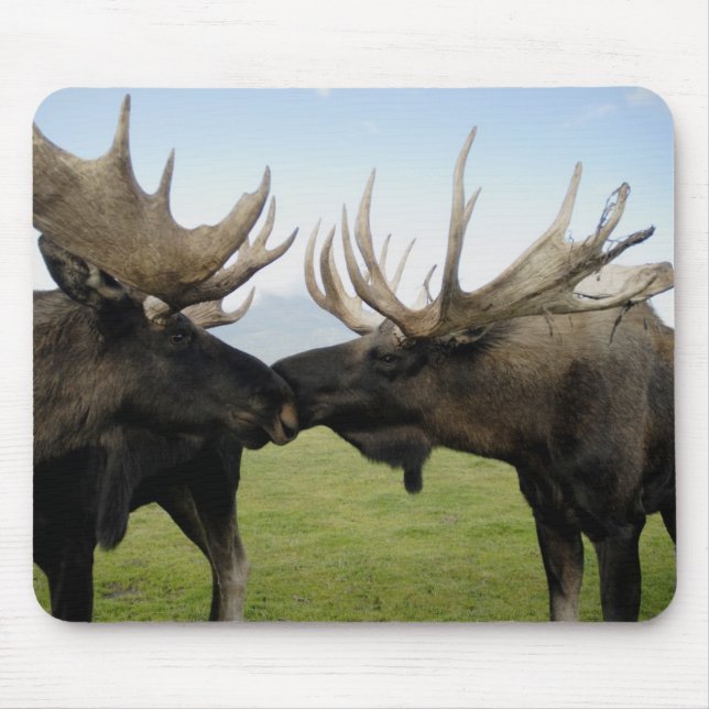 Alfombrilla De Ratón Alces (Frente)