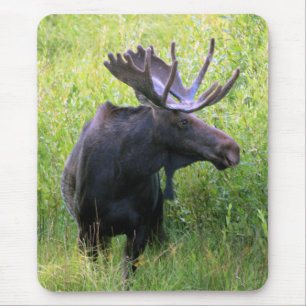 Alfombrilla De Ratón Alces de Bull