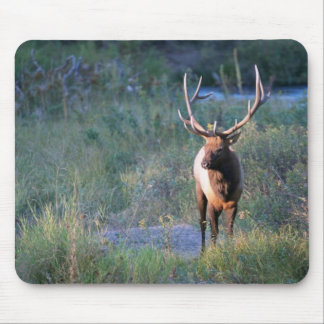 Alfombrilla De Ratón Alces de Bull
