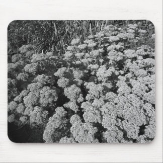 Alfombrilla De Ratón Alegría del otoño (B&W)