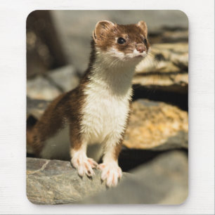 Alfombrilla De Ratón Alerta Weasel