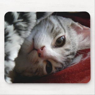 Alfombrilla De Ratón Alfie