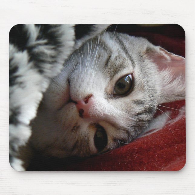 Alfombrilla De Ratón Alfie (Frente)