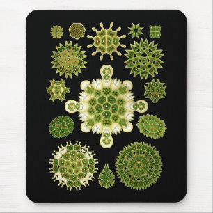 Alfombrilla De Ratón Algas verdes