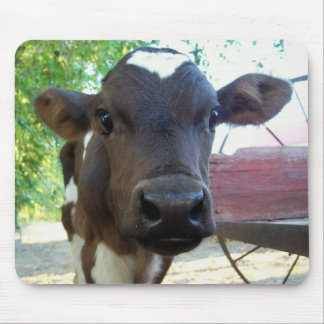 Alfombrilla De Ratón Algodón