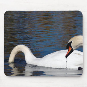 Alfombrilla De Ratón Alimentación de Swans