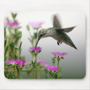 Alfombrilla De Ratón Alimentación del colibrí