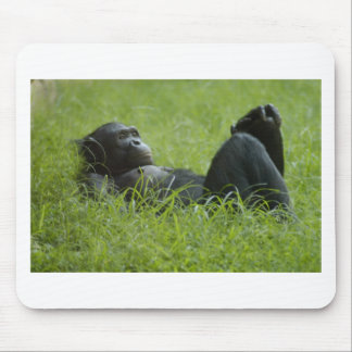 Alfombrilla De Ratón Alivio de estrés