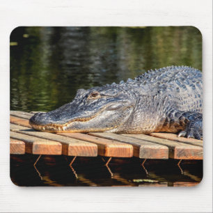 Alfombrilla De Ratón Alligador en el parque estatal Homosassa Springs