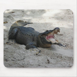 Alfombrilla De Ratón Alligator, Fort Lauderdale, Florida