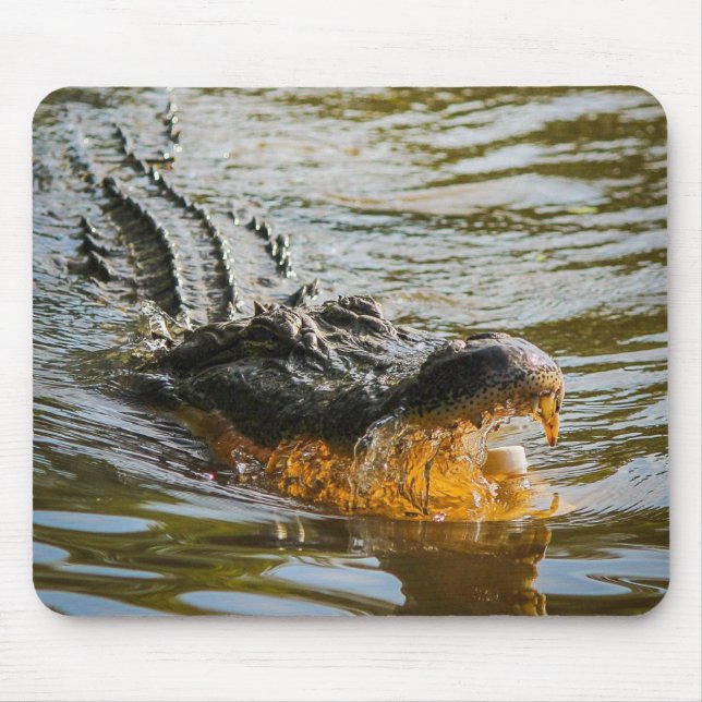 Alfombrilla De Ratón Alligator mouse (Frente)