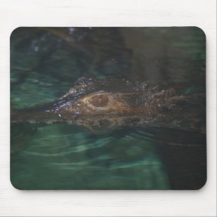 Alfombrilla De Ratón Alligator Mousepad