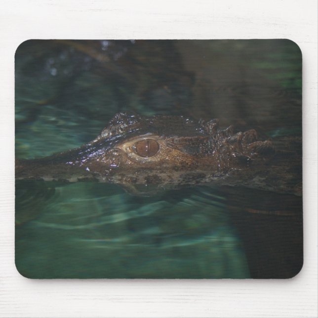 Alfombrilla De Ratón Alligator Mousepad (Frente)
