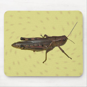 Alfombrilla De Ratón Almohadilla de Grasshopper