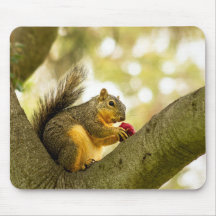Almohadilla de ratón Adorable Squirrel