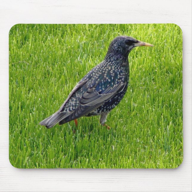 Alfombrilla De Ratón Almohadilla de ratón con pájaro (Frente)