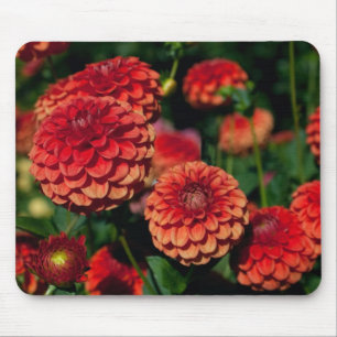 Alfombrilla De Ratón Almohadilla de ratón Dahlia roja