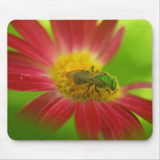 Alfombrilla De Ratón Almohadilla de ratón de abeja verde y margarita pi