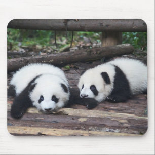 Alfombrilla De Ratón Almohadilla de ratón de bebés de panda lindos