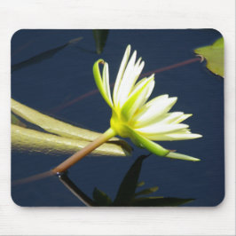 Alfombrilla De Ratón almohadilla de ratón de lirio de loto blanco