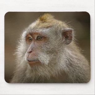 Alfombrilla De Ratón Almohadilla de ratón de mono