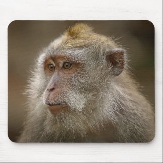 Alfombrilla De Ratón Almohadilla de ratón de mono