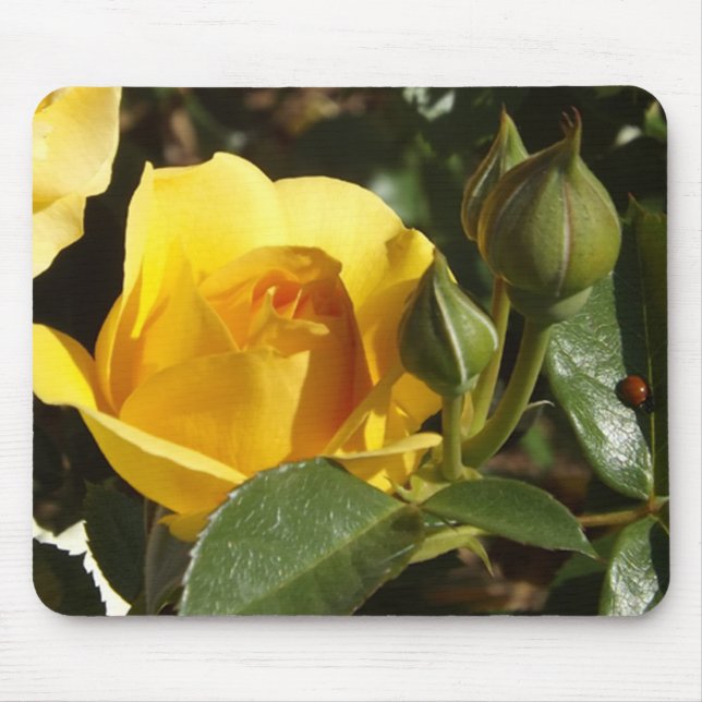 Alfombrilla De Ratón Almohadilla de ratón de rosa amarilla y ladybug (Frente)