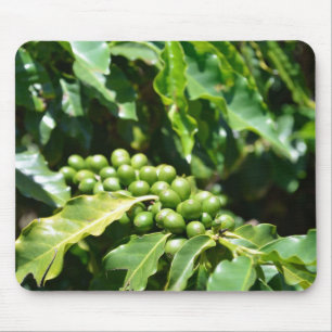 Alfombrilla De Ratón Almohadilla de ratón Green Coffee Berries