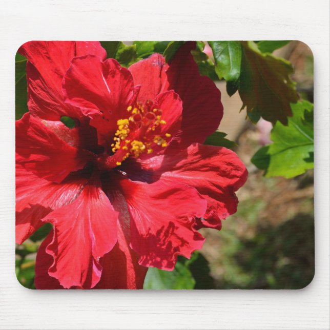 Alfombrilla De Ratón Almohadilla de ratón Hibiscus Rojo (Frente)