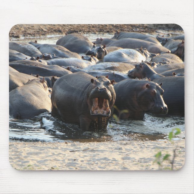 Alfombrilla De Ratón Almohadilla de ratón Hippo (Frente)