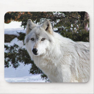 Alfombrilla De Ratón almohadilla de ratón lobo