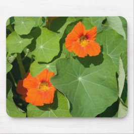 Alfombrilla De Ratón Almohadilla de ratón Nasturtium naranja