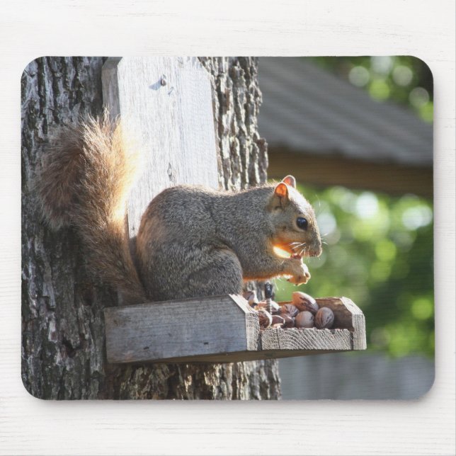 Alfombrilla De Ratón Almohadilla de ratón para ardillas (Frente)