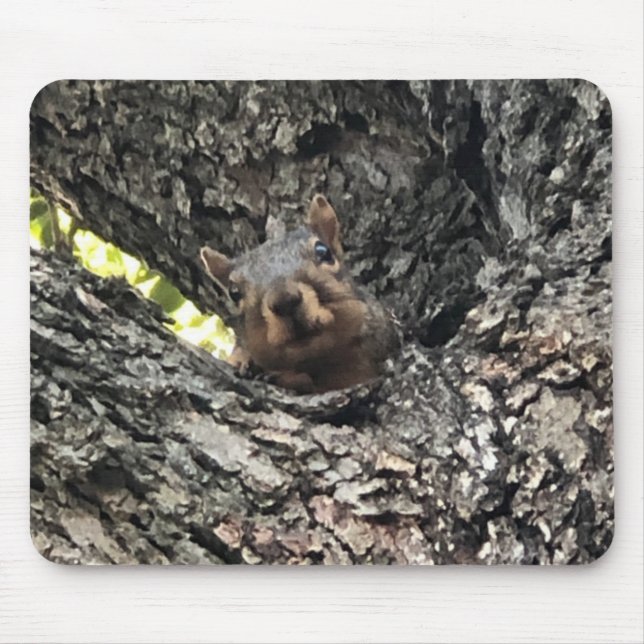 Alfombrilla De Ratón Almohadilla de ratón para ardillas (Frente)