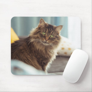 Alfombrilla De Ratón Almohadilla de ratón para gato noruego