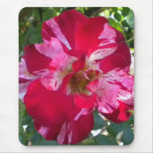 Alfombrilla De Ratón Almohadilla de ratón Rosa de frambuesa