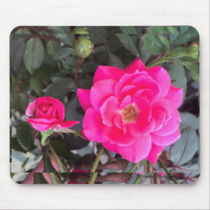 Alfombrilla De Ratón Almohadilla de ratón Rosa Fuscia