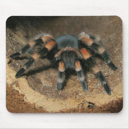 Alfombrilla De Ratón Almohadilla de ratón Tarantula de rodilla roja mex