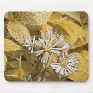 Alfombrilla De Ratón Almohadilla de ratón Wild Aster