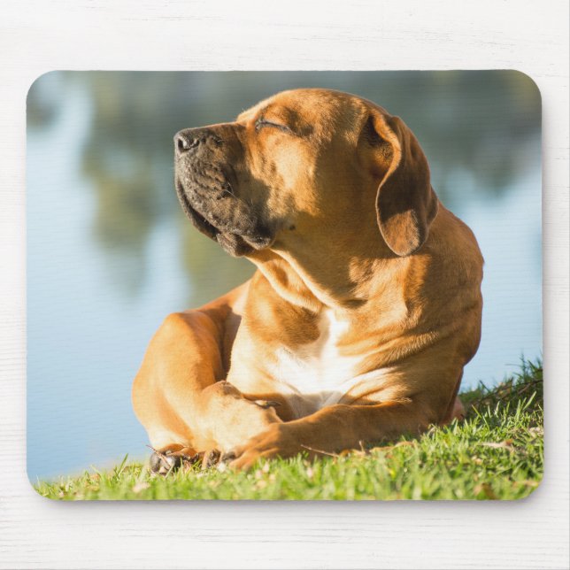 Alfombrilla De Ratón Almohadilla del ratón Boerboel Gel (Frente)