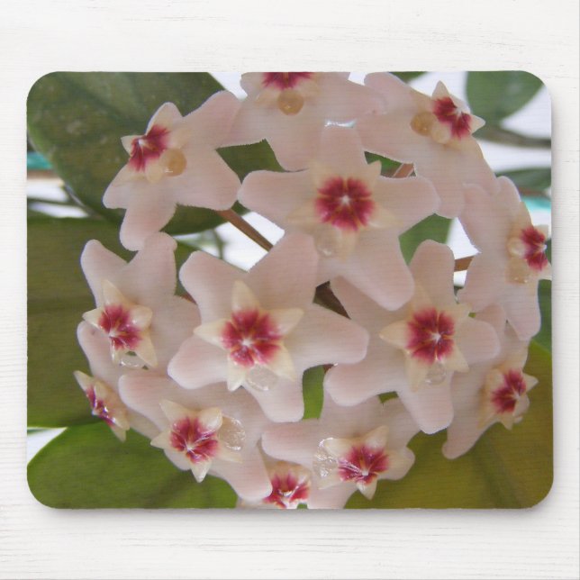 Alfombrilla De Ratón Almohadilla del ratón con flores (Frente)