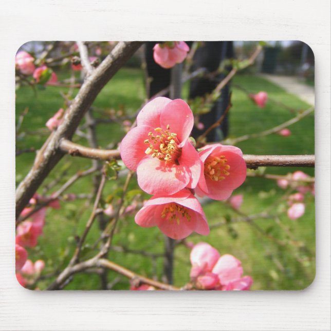 Alfombrilla De Ratón Almohadilla del ratón con flores (Frente)