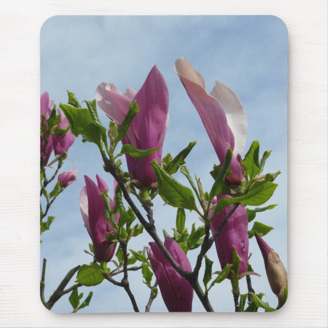 Alfombrilla De Ratón Almohadilla del ratón con flores de magnolia (Frente)
