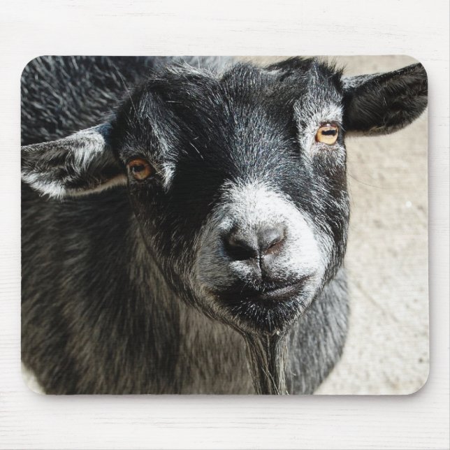 Alfombrilla De Ratón Almohadilla del ratón de cabra (Frente)